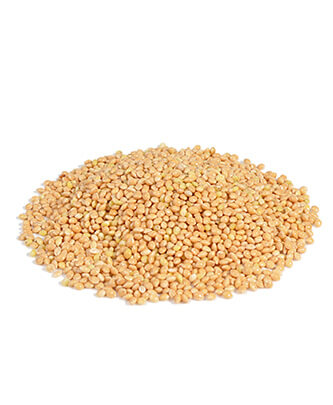 Yellow millet (25 g — ART. 9001)