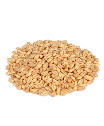 Wheat (25 kg — ART. 9009)