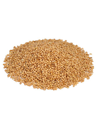 Yellow panicum (25 kg — ART. 9010)