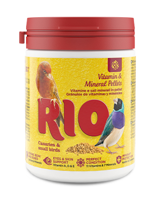RIO Vitamin و mineral pellets لـ علبةaries, exotic birds و other small birds (120 g — ART. 23070)