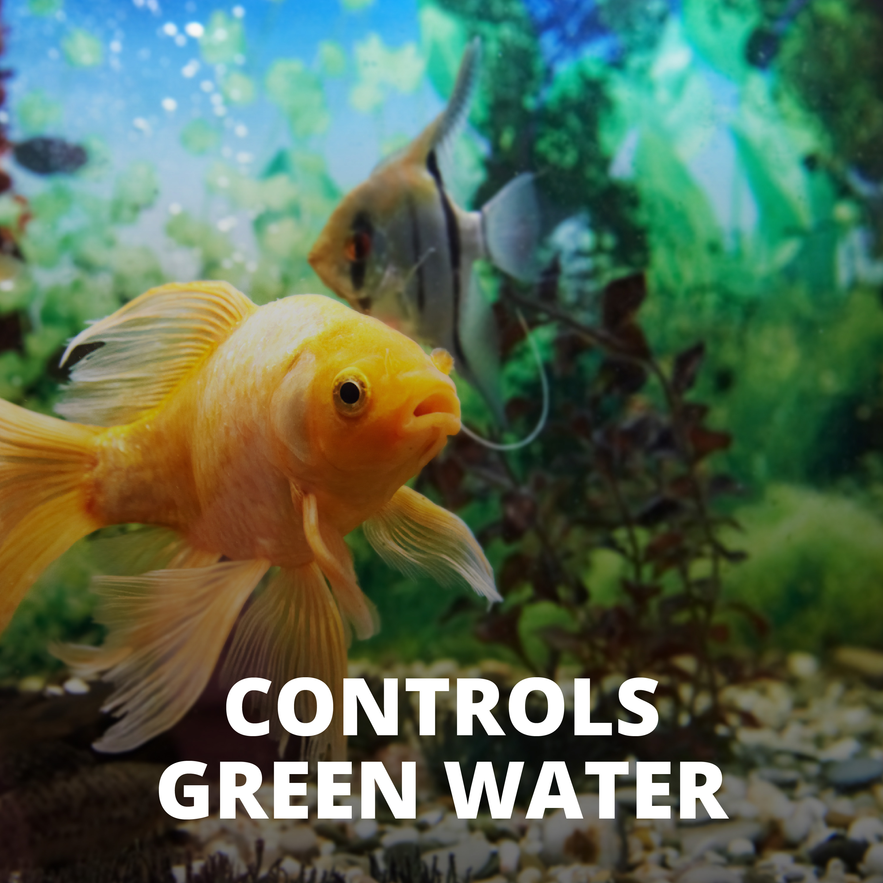 AlgaeControl™