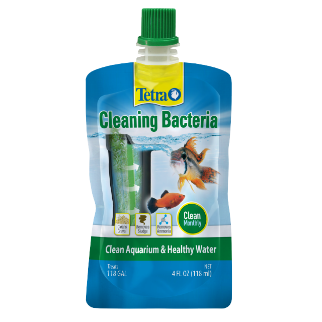 Cleaning Bacteria