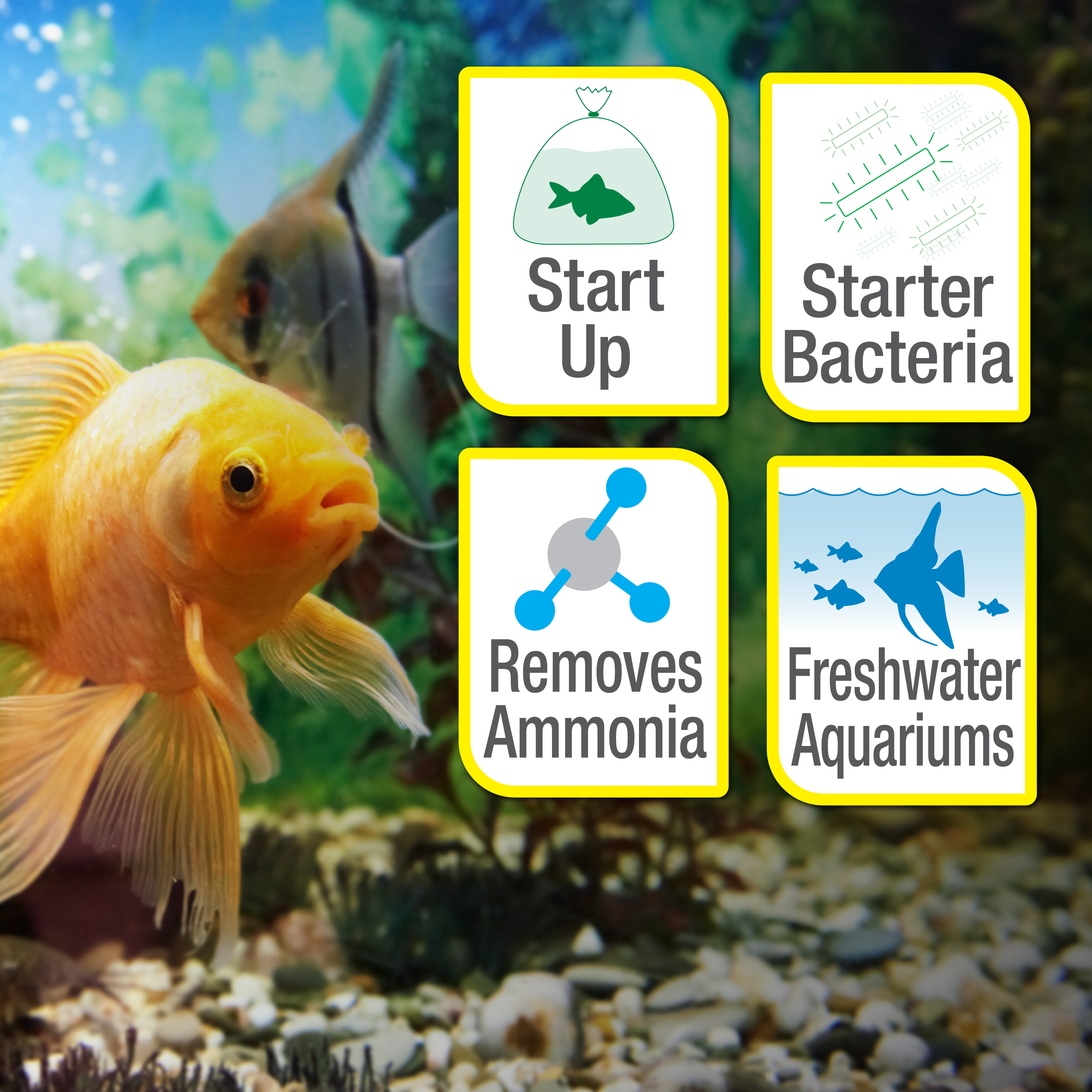 SafeStart™ Plus