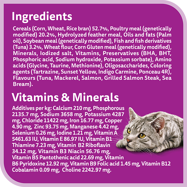 whiskas dry 1 plus years ocean fish flavour